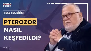 Dinozorlar Çağının Gizemli Canlısı Pterozorlar... Prof. Dr. Celal Şengör yanıtladı