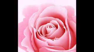 Wedding Theft-A Gay Soft Spoken Story screenshot 3