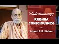 Understanding krishna consciousness