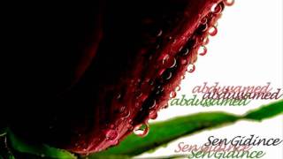 Abdussamed - Sen Gidince