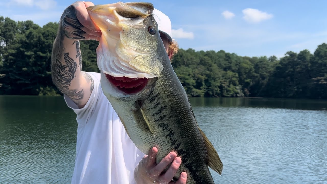 Fishing Uber Clear Water For Big Summertime Bass
