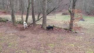 Digging for Buried Treasure - February 23rd, 2024