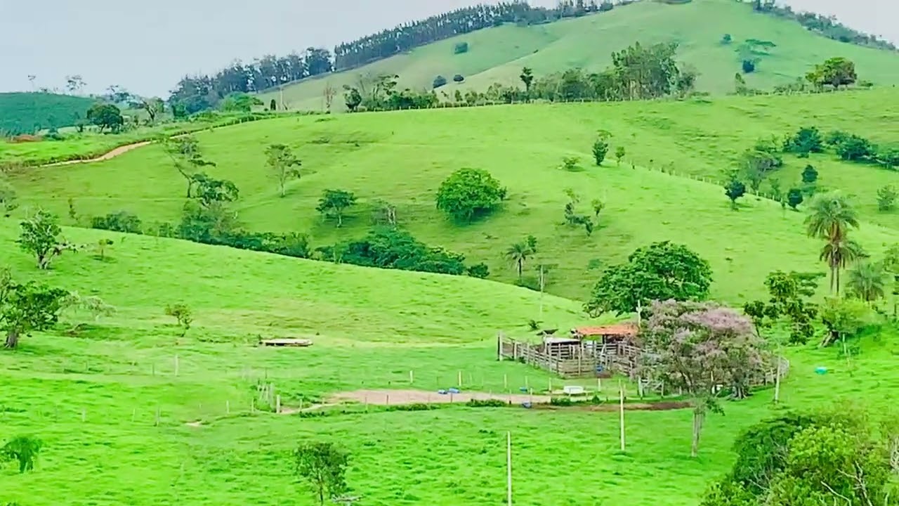 29 de outubro de 2023