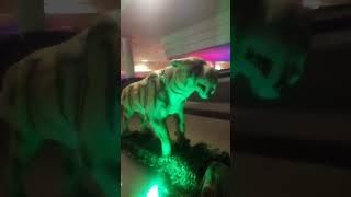 Jurassic Empire show at wiregrass Commons Mall Dothan Alabama.
