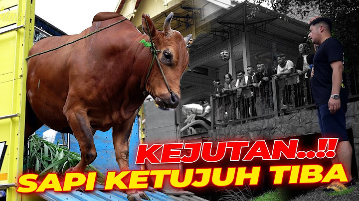 LENGKAP TOTAL TUJUH SAPI ❗ BUKTI UCAPAN ADALAH DOA ❗