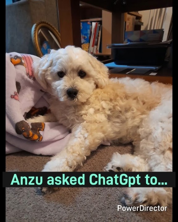 Anzu became a human?!