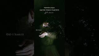 Biraz Yorgunum / Erdem Beyazıt Resimi