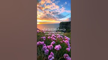 #قرآن #قران_كريم #تلاوة_خاشعة #تلاوة_هادئة #ياسر_الدوسري
