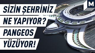 Yüzen Şehir Pangeos Deniz Tatili Yeni Bir Boyut Kazandı Mashable Türkiye