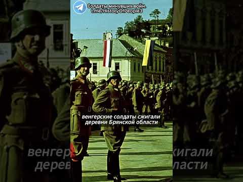 Венгров в плен не брать! #shorts