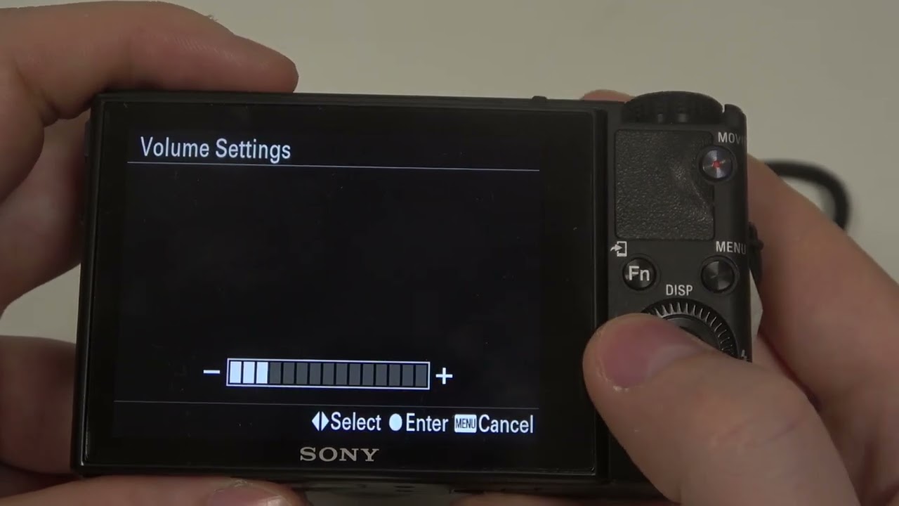 SONY DSC RX100M3 - How to Change Audio Volume | Adjust Audio