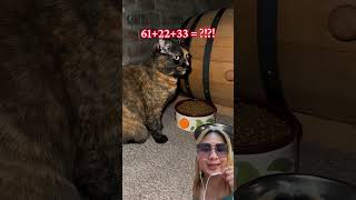 @Minipetspa Meng ada tempat rahasianya juga ya #dubbing #shorts #shortvideo #funny