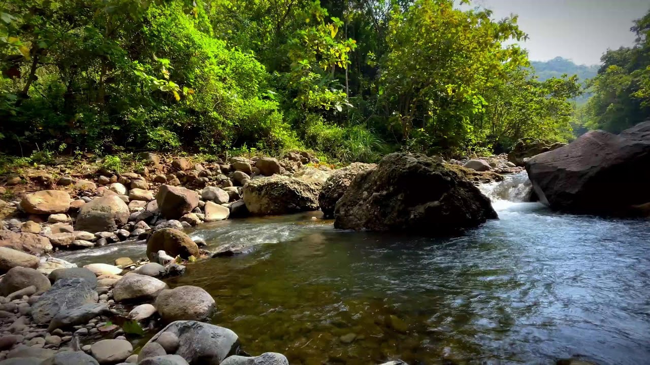 Mountain Spring Water Flowing Through Forest Rocks | Natural Stream Sounds for Sleep and Relaxation
