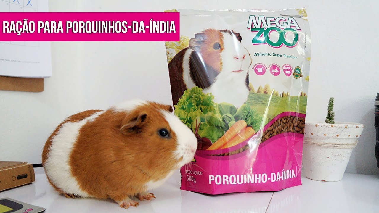 RAÇÃO MEGAZOO PARA PORQUINHOS DA ÍNDIA
