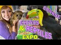 EXOTIC PETS & REPTILES at HERPS Conroe, Jan. 2020