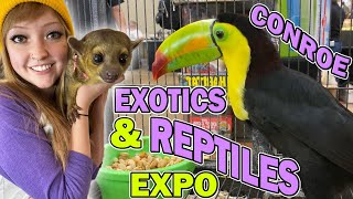 EXOTIC PETS & REPTILES at HERPS Conroe, Jan. 2020