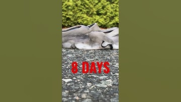 #scream6 #ghostface #trending #shorts #movie #custom