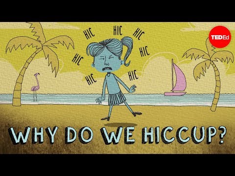 Why do we hiccup? - John Cameron thumbnail