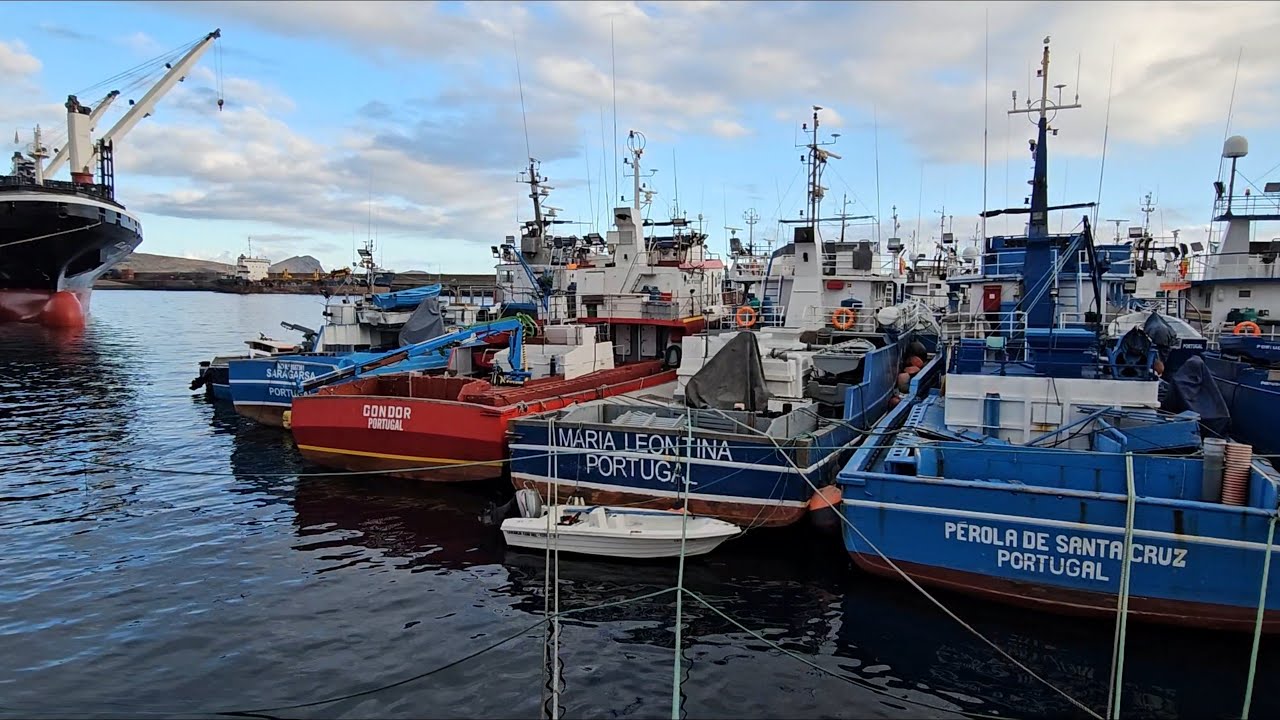 Ilha da Madeira, 30-12-25 Caniçal/Ponta de São Lourenço. 