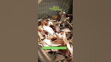 Home Composting: The Complete Guide to Composting at Home