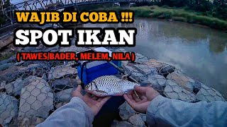 Mancing Ikan Bader / Tawes, Nila, Melem Di Sungai Grindulu Bawah Jembatan Arjowinangun Pacitan