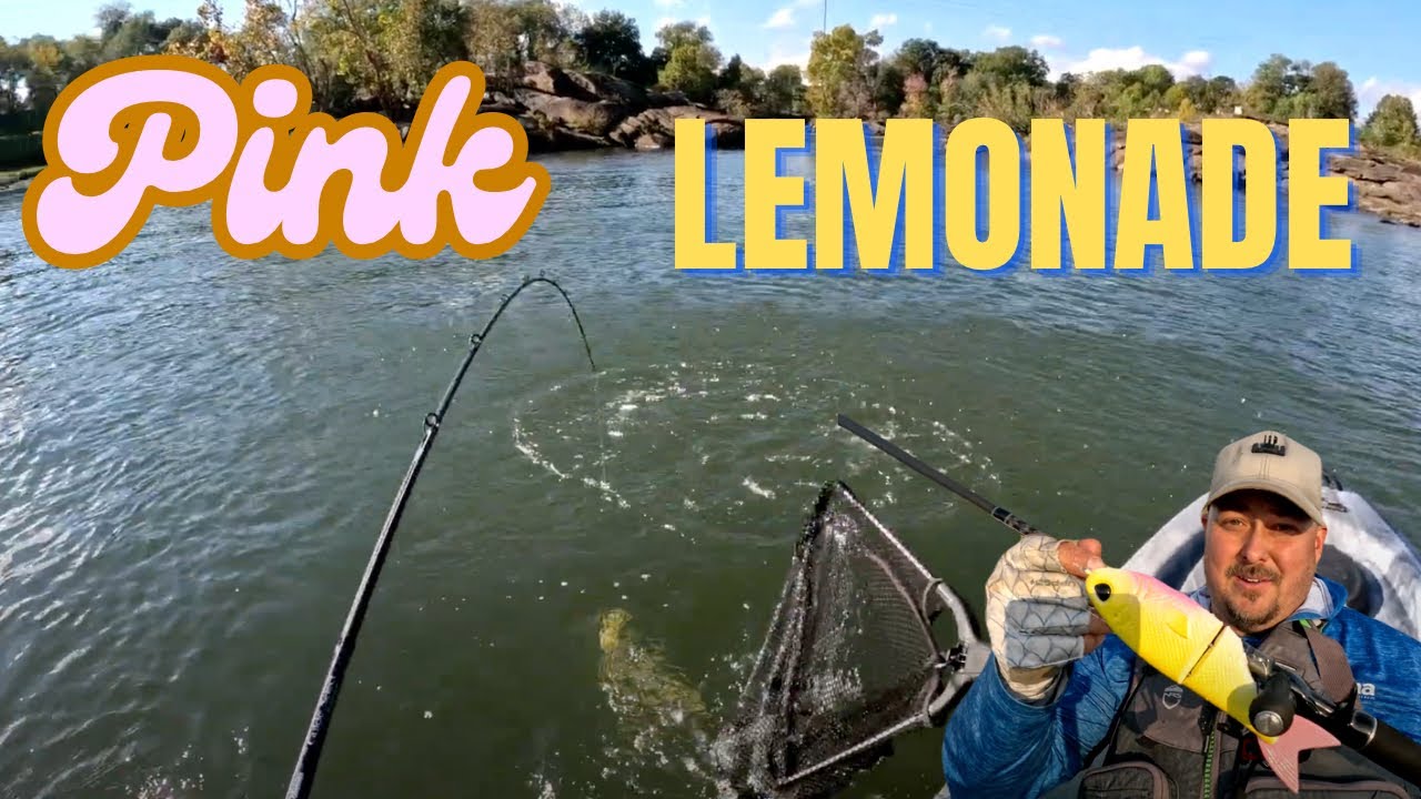 I can't believe this crazy looking lure is a fish magnet!  Pink lemonade Glide