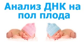 Определение пола по анализу ДНК Определение пола по анализу ДНК