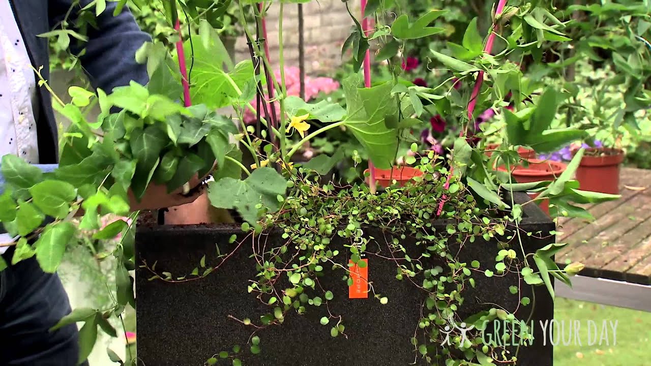 Idee voor in de tuin: de garden divider youtube