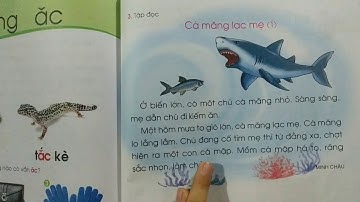 Bài 78: ăng, ăc - Tiếng Việt 1 - Tập một