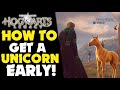 How to get a unicorn in hogwarts legacy  hogwarts legacy gameplay ps5 hogwarts