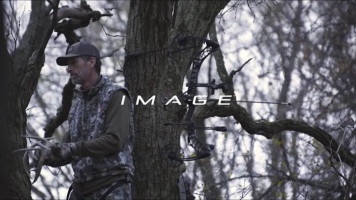 Image Highlights