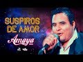 SUSPIROS DE AMOR - AMAYA HNOS (DINO SÁNCHEZ) EN VIVO PALAMBLA