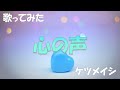 【歌ってみた】心の声【ケツメイシ】