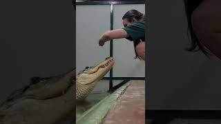 Trainer Lindsay is officially back to training with Darthgator.