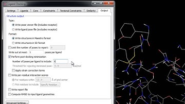 Glide Ligand Docking - Post-Docking Minimization