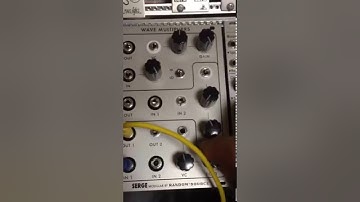 Serge Wave Multipliers
