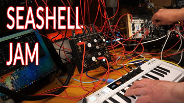 Instruo Seashell Jam