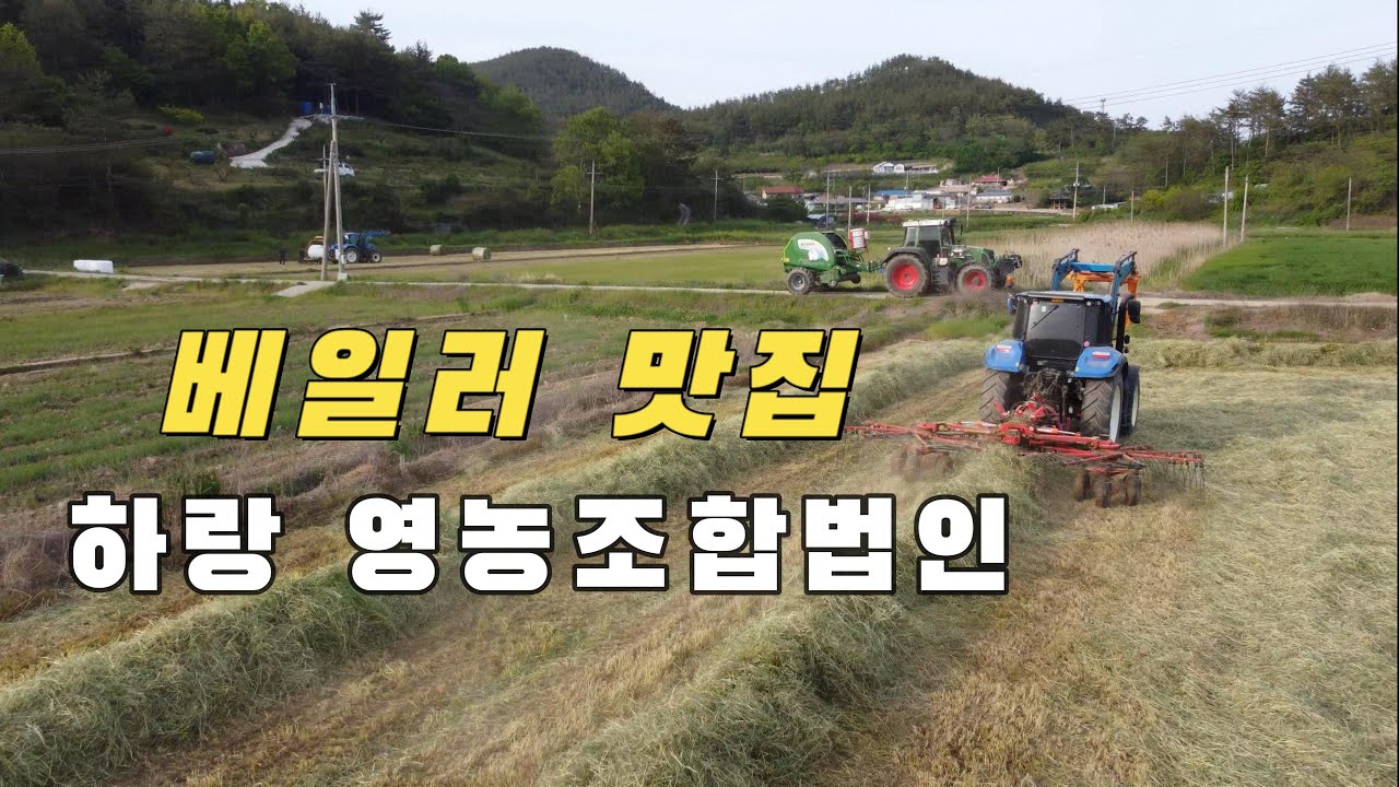 고금도 라이그라스 베일러 작업하기!! 레이키 치면서 바로 묶어요~