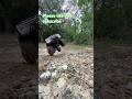 A little fun with the Trx4 K5 blazer
