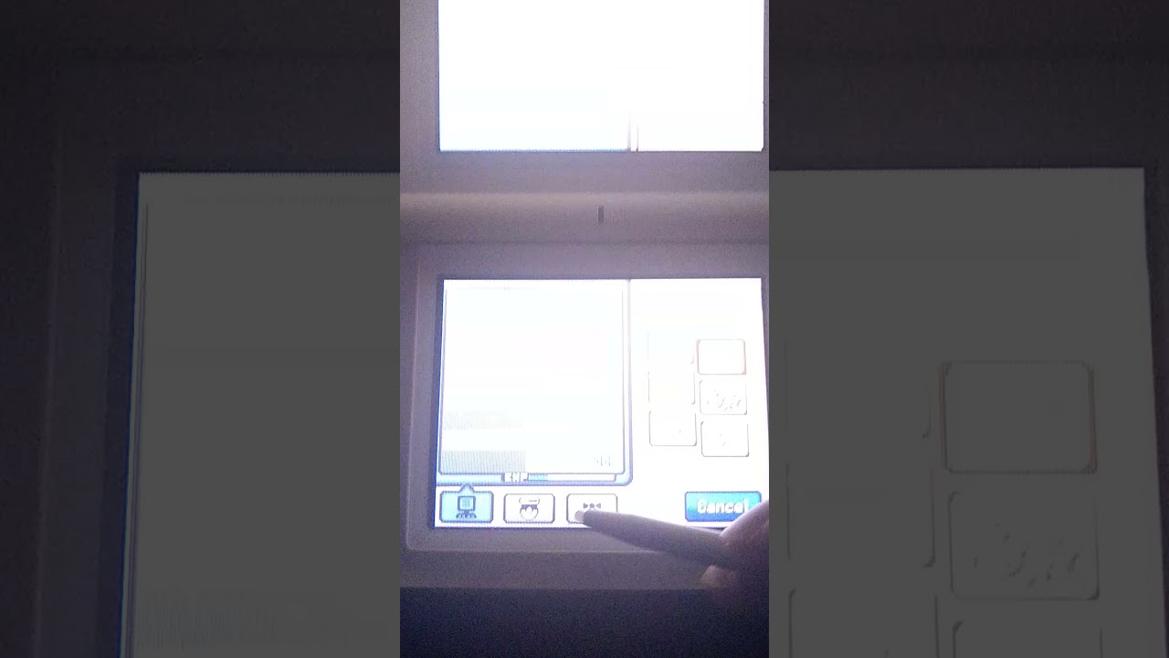 Accidentally performed the Rage Glitch on Ditto