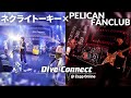 ネクライトーキー×PELICAN FANCLUB 2020/11/24 20時~Zepp撮りおろしライブ&amp;スーパーサポーター古賀隼斗(KANA-BOON)を迎え生トーク!【Dive/Connect】