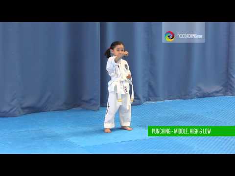 TKD Mini-Kids