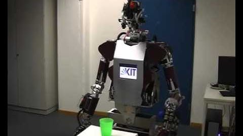 Grasp Recognition and Mapping on Humanoid Robots