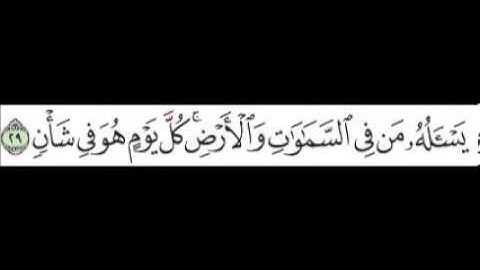 سورة الرحمن الآية 29