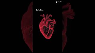 Benim Kalbimde Hep Sen Varsın Hep De Sen Olacaksın