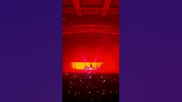 Thumbnail of @maupmusic - ‘drugs from amsterdam’ 3 days to go till our final LSR/CITY show this year!