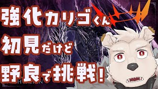 【ナイトレイン】強化カリゴくん初見だけど野良で挑戦してみる！【六連星ヘキサ】