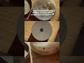 💋 moodпотрясающий аромат кокоса нашла у @mixit_ru 🌴🥥 WB #335412400