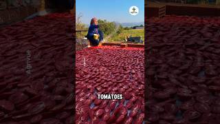 They Turned Cheap Tomatoes Into a Premium Product.