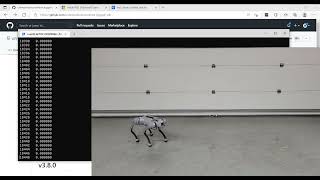 Unitree Go1 C++ and Python Programming with Windows Subsystem for Linux (WSL)